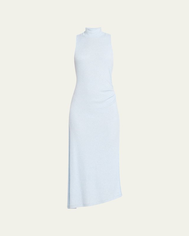 Ximena Turtleneck Midi Dress